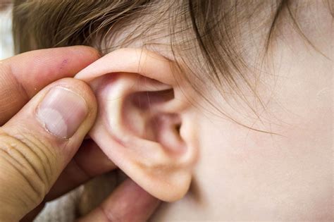 Penyakit telinga bernanah yang menyebabkan tuli tts Web6 Penyakit Penyebab Tuli yang Bisa Menyerang Siapa Saja